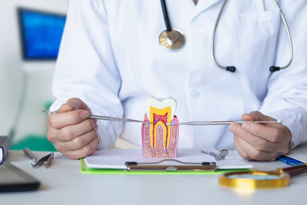 Best Emergency Dental Care for Broken or Chipped Teeth in Hurley, NM